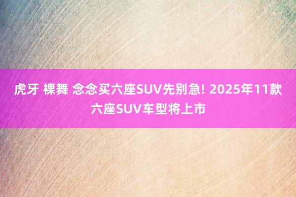 虎牙 裸舞 念念买六座SUV先别急! 2025年11款六座SUV车型将上市