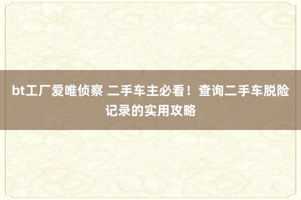 bt工厂爱唯侦察 二手车主必看！查询二手车脱险记录的实用攻略