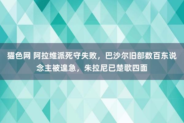 猫色网 阿拉维派死守失败，巴沙尔旧部数百东说念主被遑急，朱拉尼已楚歌四面