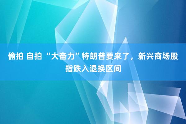 偷拍 自拍 “大奋力”特朗普要来了，新兴商场股指跌入退换区间