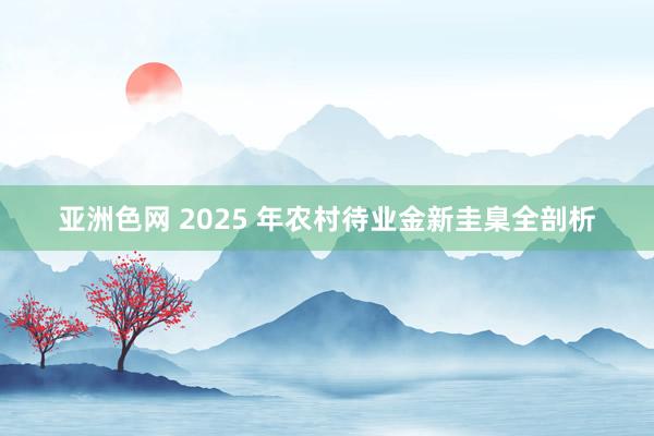 亚洲色网 2025 年农村待业金新圭臬全剖析