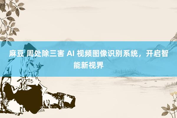 麻豆 周处除三害 AI 视频图像识别系统，开启智能新视界