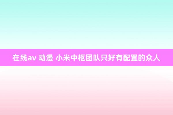 在线av 动漫 小米中枢团队只好有配置的众人