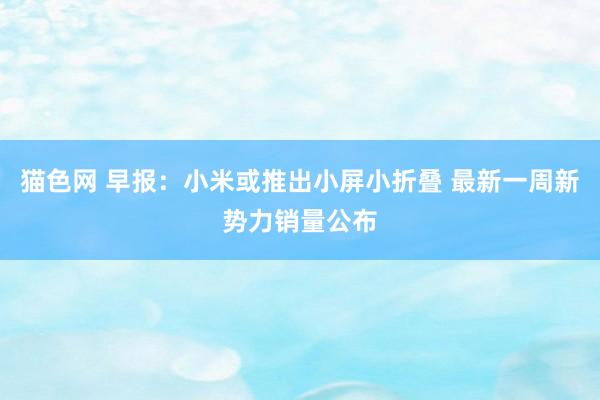 猫色网 早报：小米或推出小屏小折叠 最新一周新势力销量公布